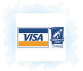  Visa